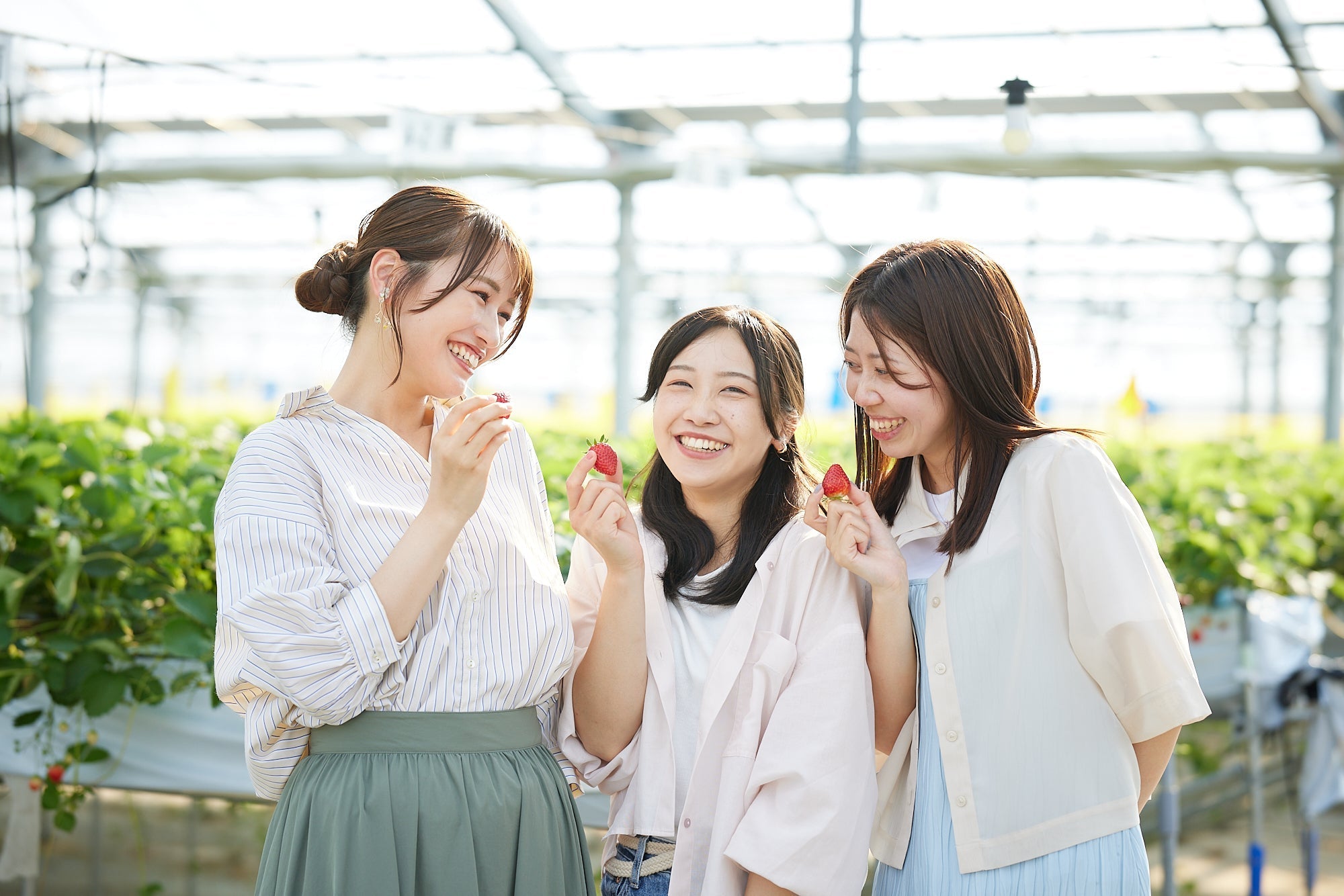 【早割実施中】2026年 いちご狩り、予約開始!