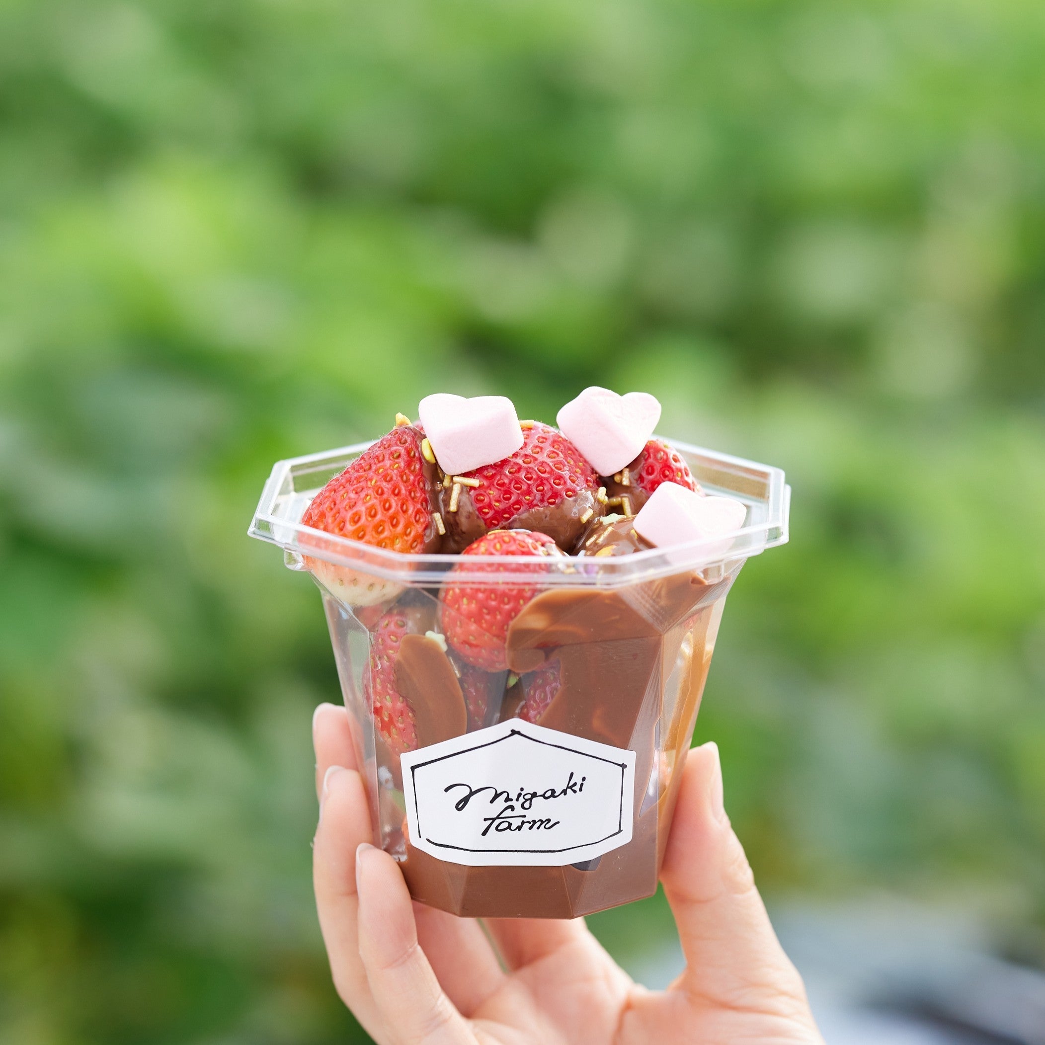 いちご狩り1月2日スタート!人気のプレミアムプランが再登場 併設カフェではミガキイチゴたっぷりいちごパフェも