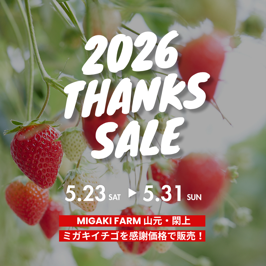 いちご感謝価格SALE（山元店＆閖上店）