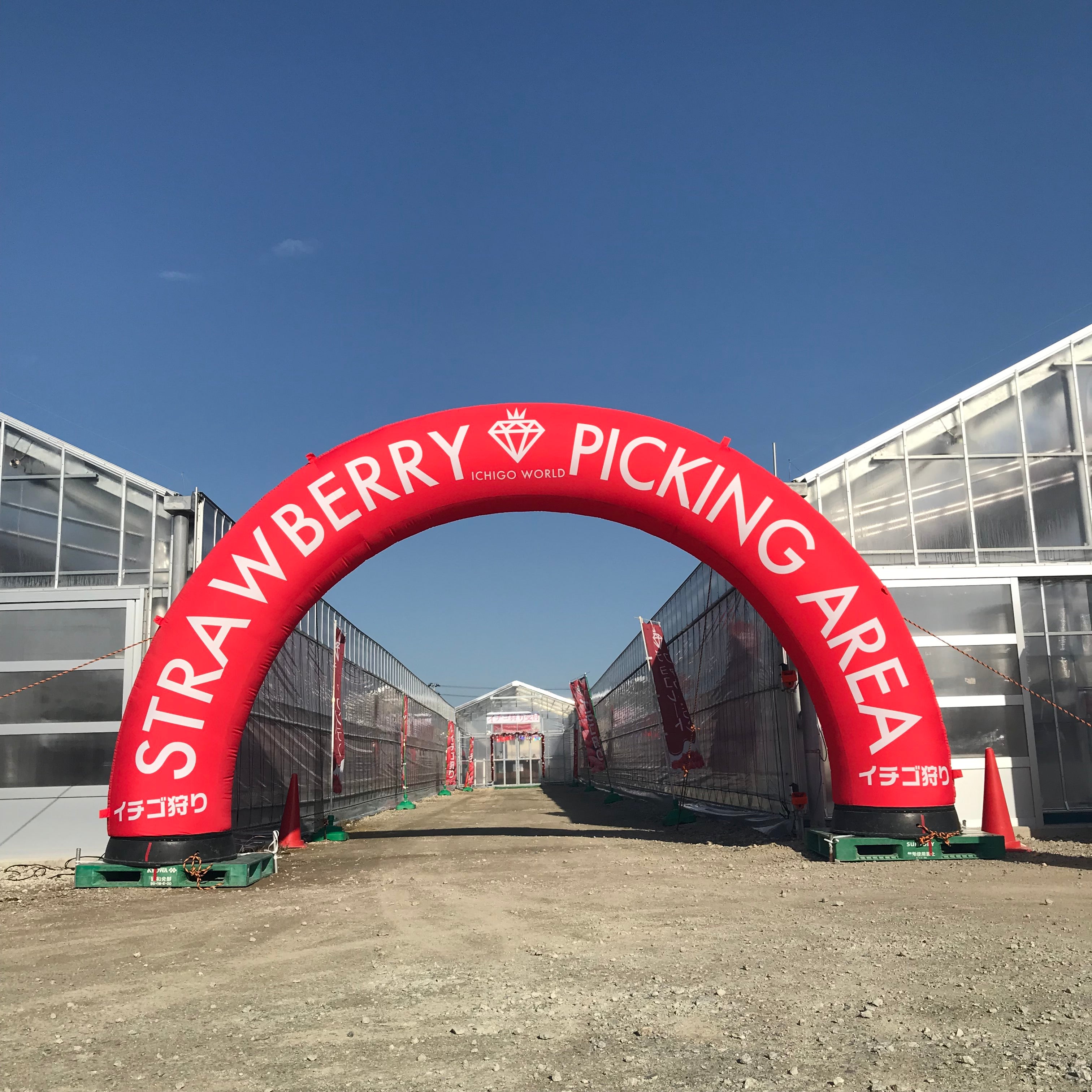 3/26(木)、3/27(金)は営業しております!