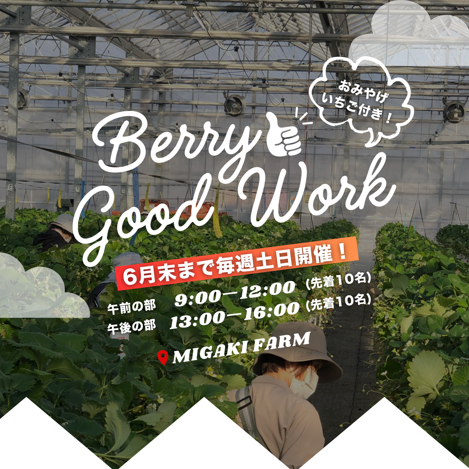 農業体験ワークショップ 『Berry Good Work(ベリーグッドワーク)』スタート