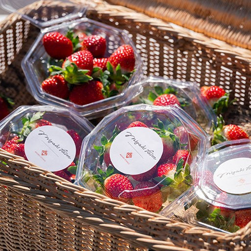 初摘みいちごフェア開催!