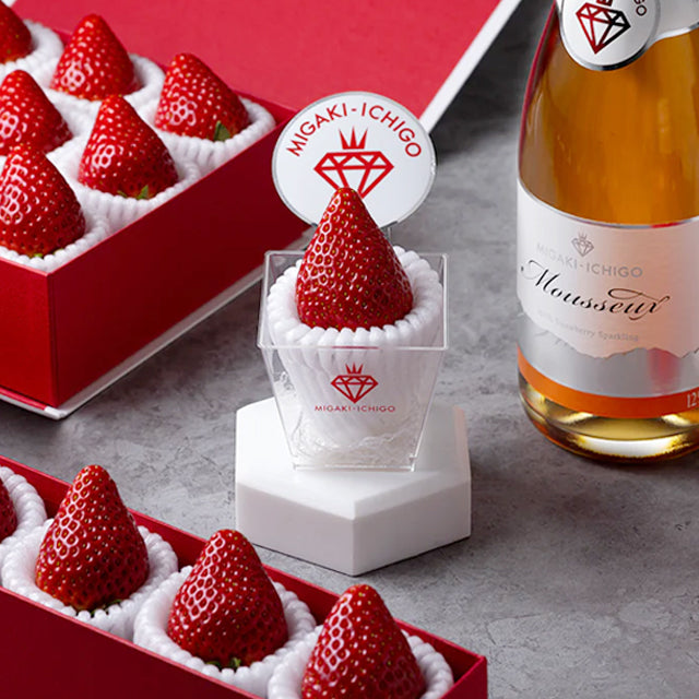 リニューアルオープン!送料無料キャンペーン実施中