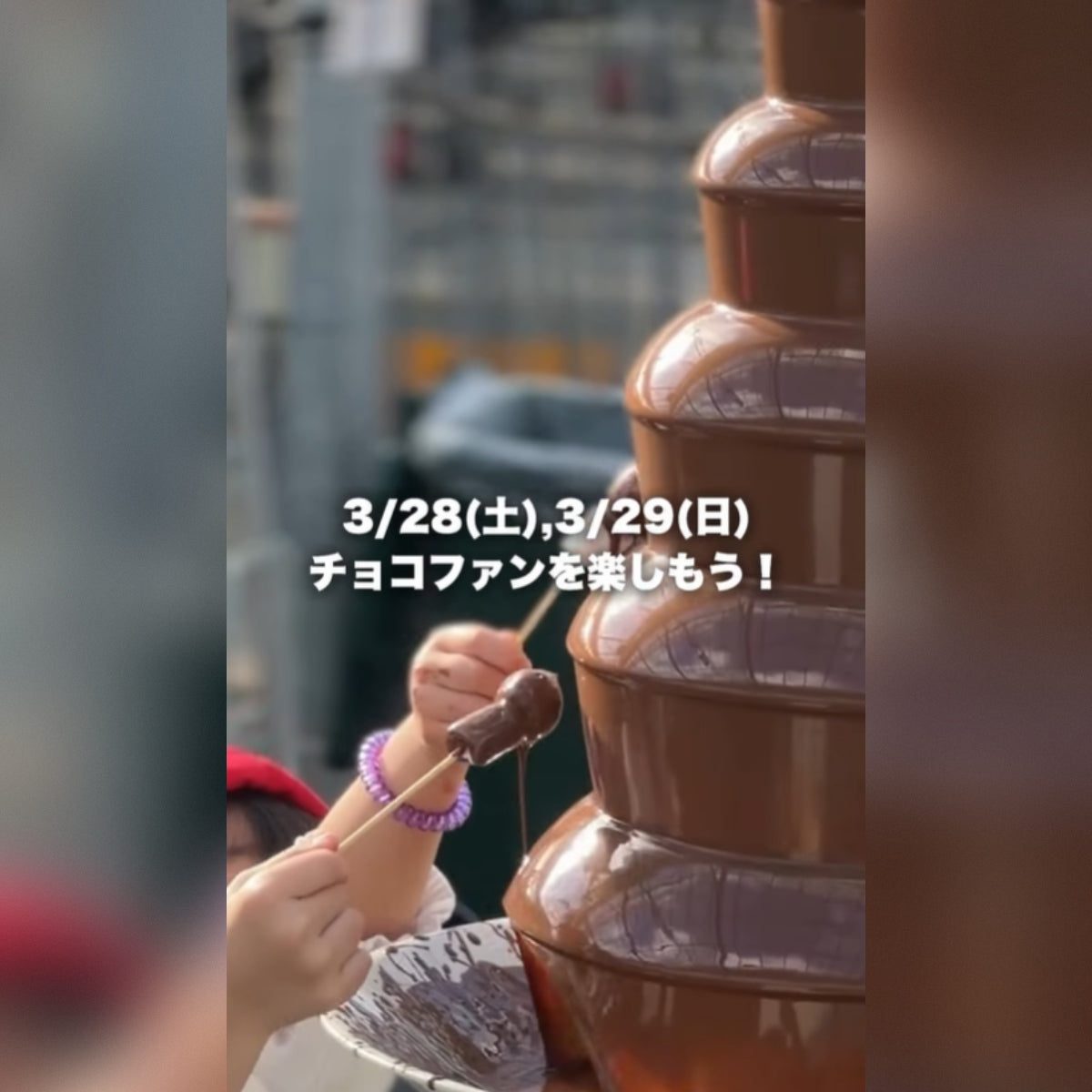 (LINEクーポン配信中)次回チョコファンは3/28(土)、3/29(日)!