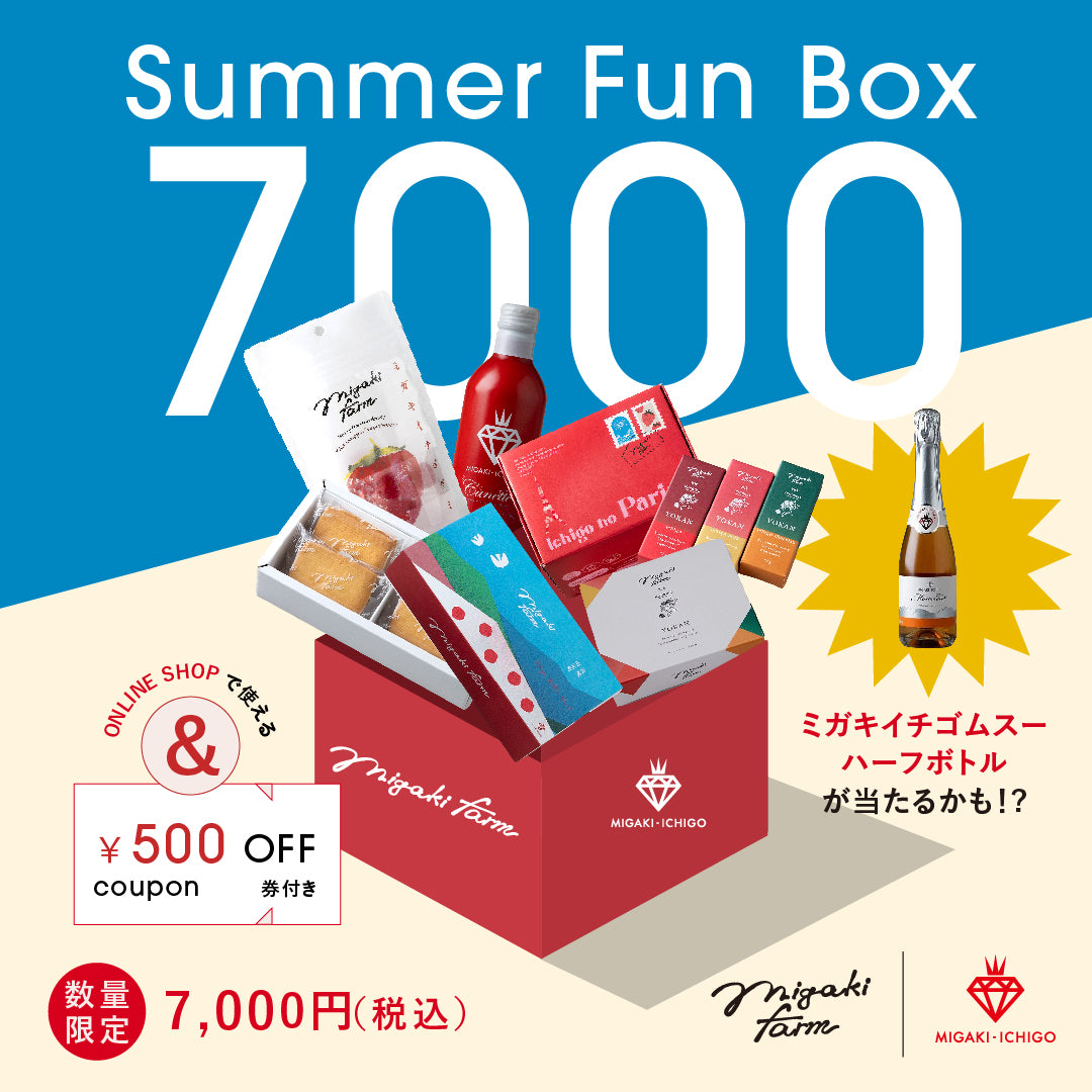 夏のお楽しみBOX【7000円】