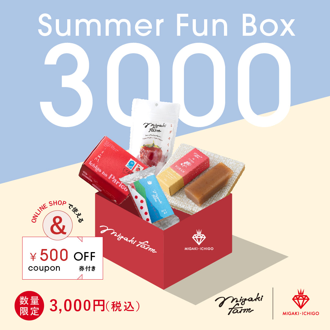夏のお楽しみBOX【3000円】