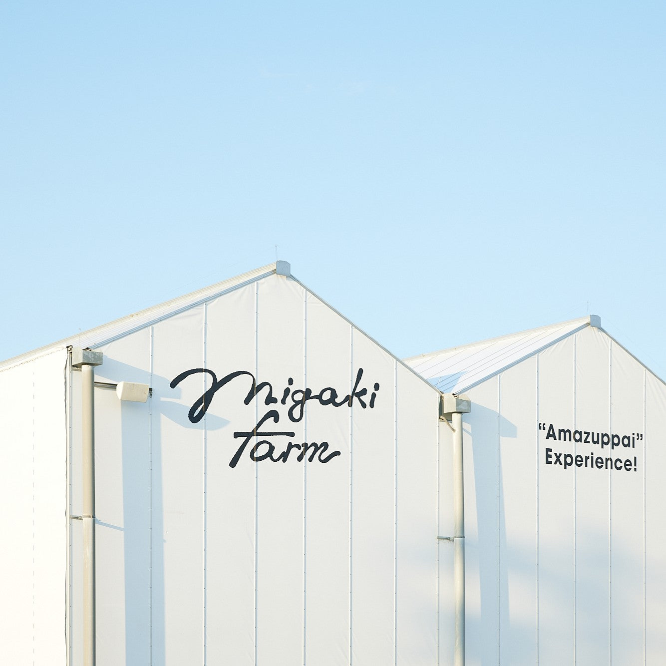 「MIGAKI FARM SHOP&CAFE 山元店」営業再開予定のお知らせ