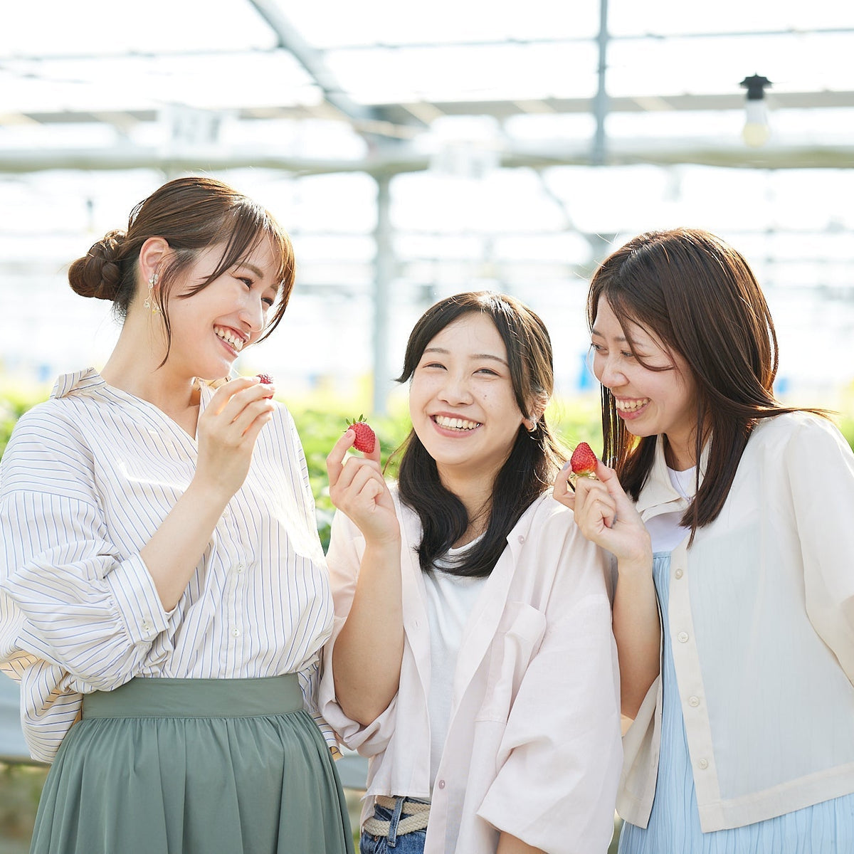 クーポン配信中】2026年 いちご狩り、予約開始！