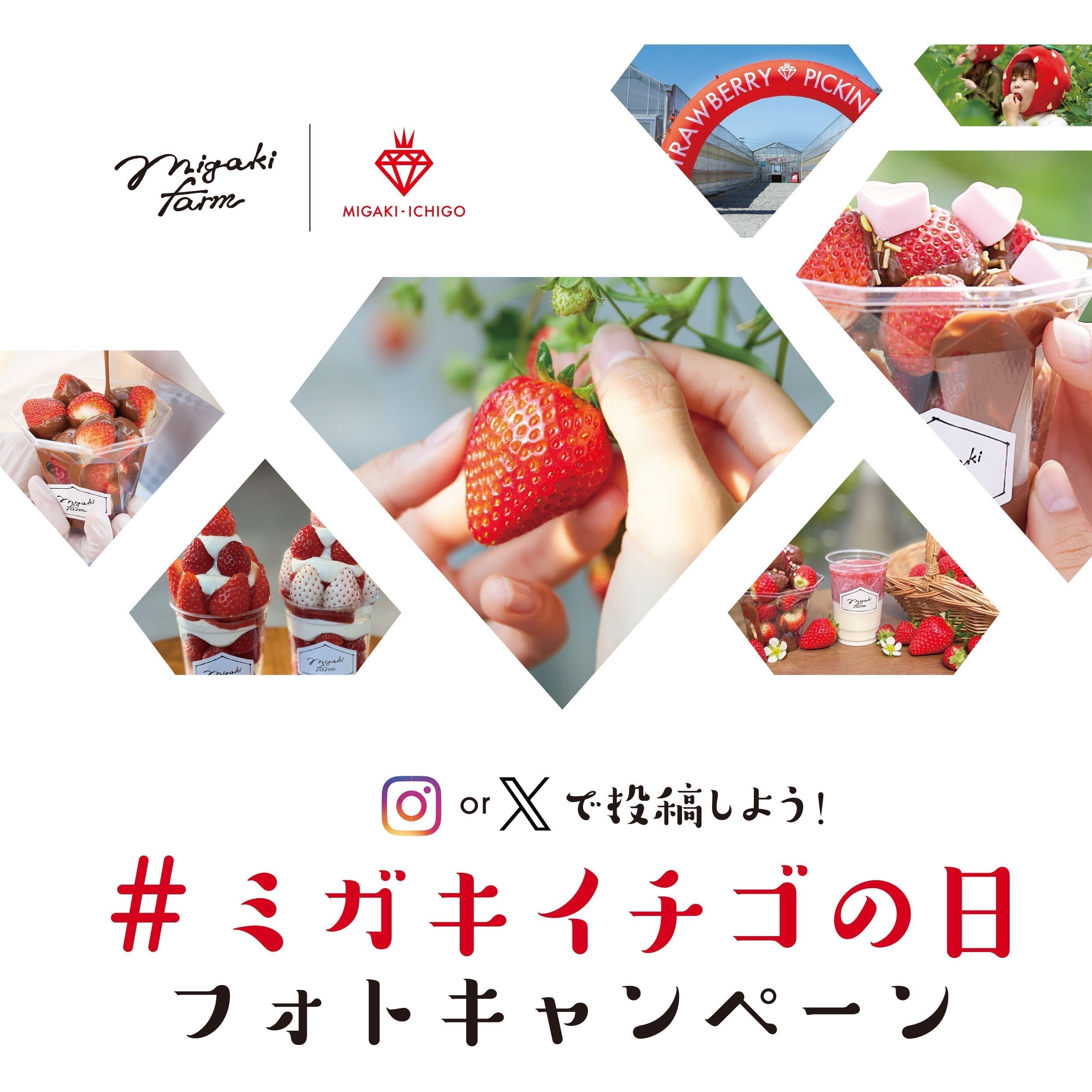 【お知らせ】1月15日は「#ミガキイチゴの日2026」🍓  SNS投稿キャンペーン開催！