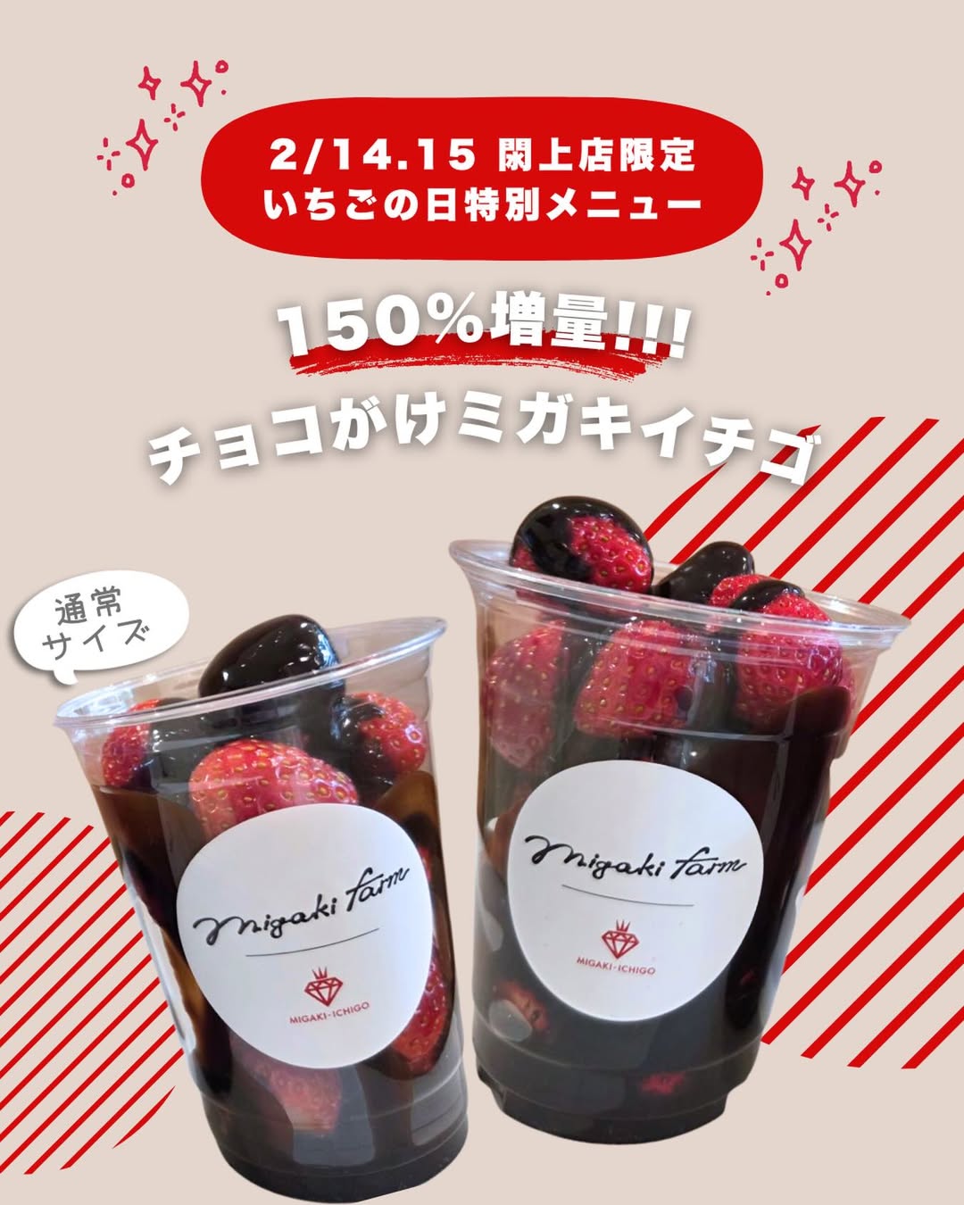2月15日は「いちごの日」　チョコがけミガキイチゴ 150%増量キャンペーン（閖上店）