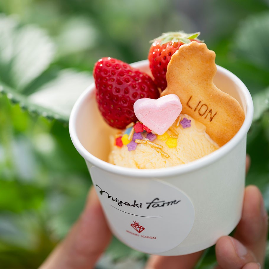 いちご狩りプレミアムプランに、摘みたていちごをオリジナルパフェに変える「ひんやりバニラアイス」オプションが4月4日初登場
