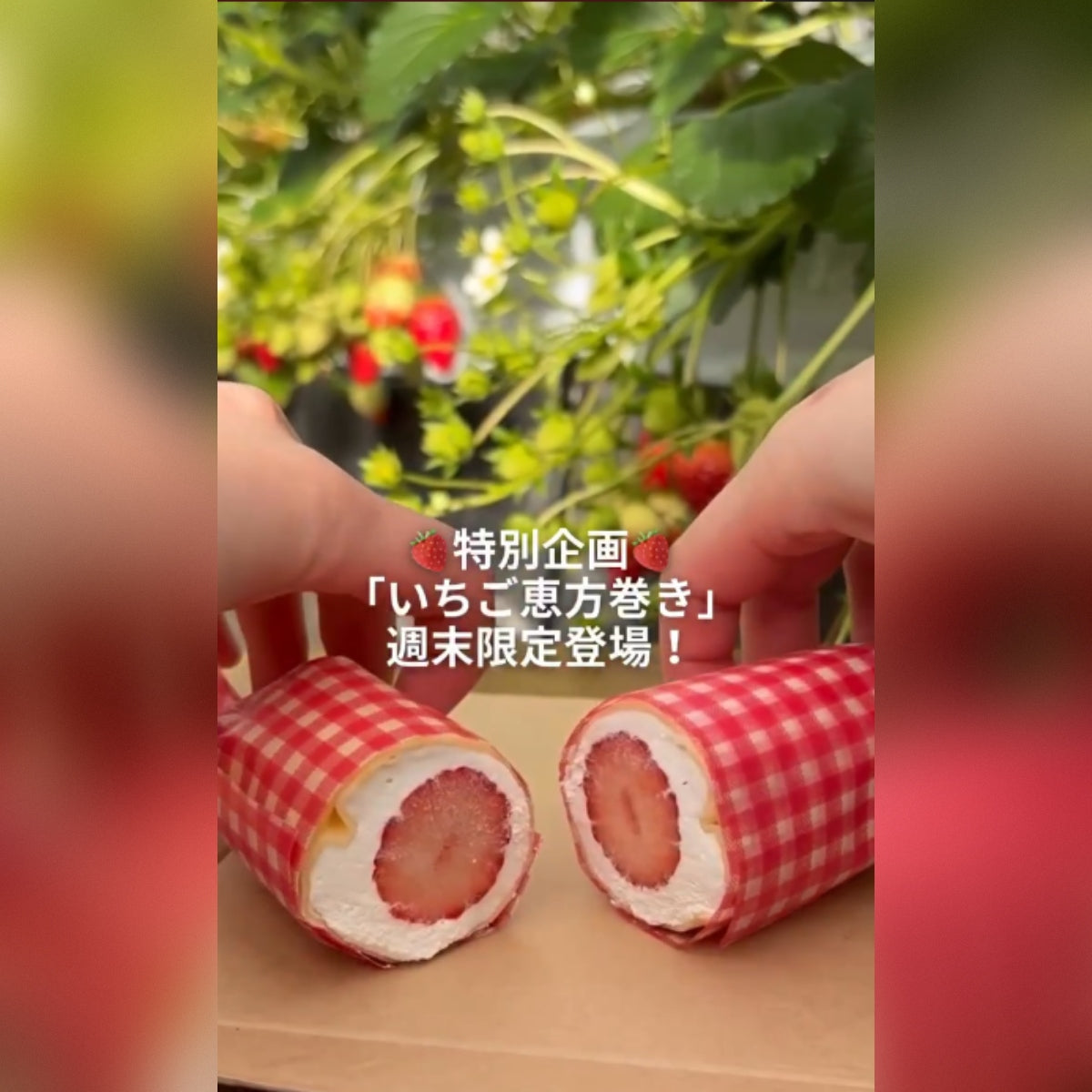 【LINEクーポン配信中】1/31-2/4いちご恵方巻き作り体験開催(期間延長)