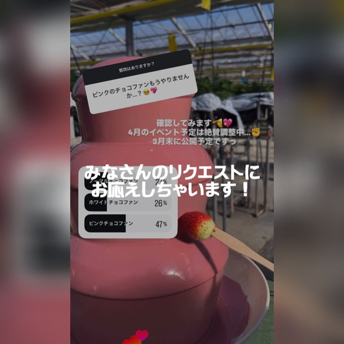 （LINEクーポン配信中）4/4(土)、4/5(日)、4/11(土)、4/12(日) 2週連続ピンクチョコファンDAY開催🌸🍓