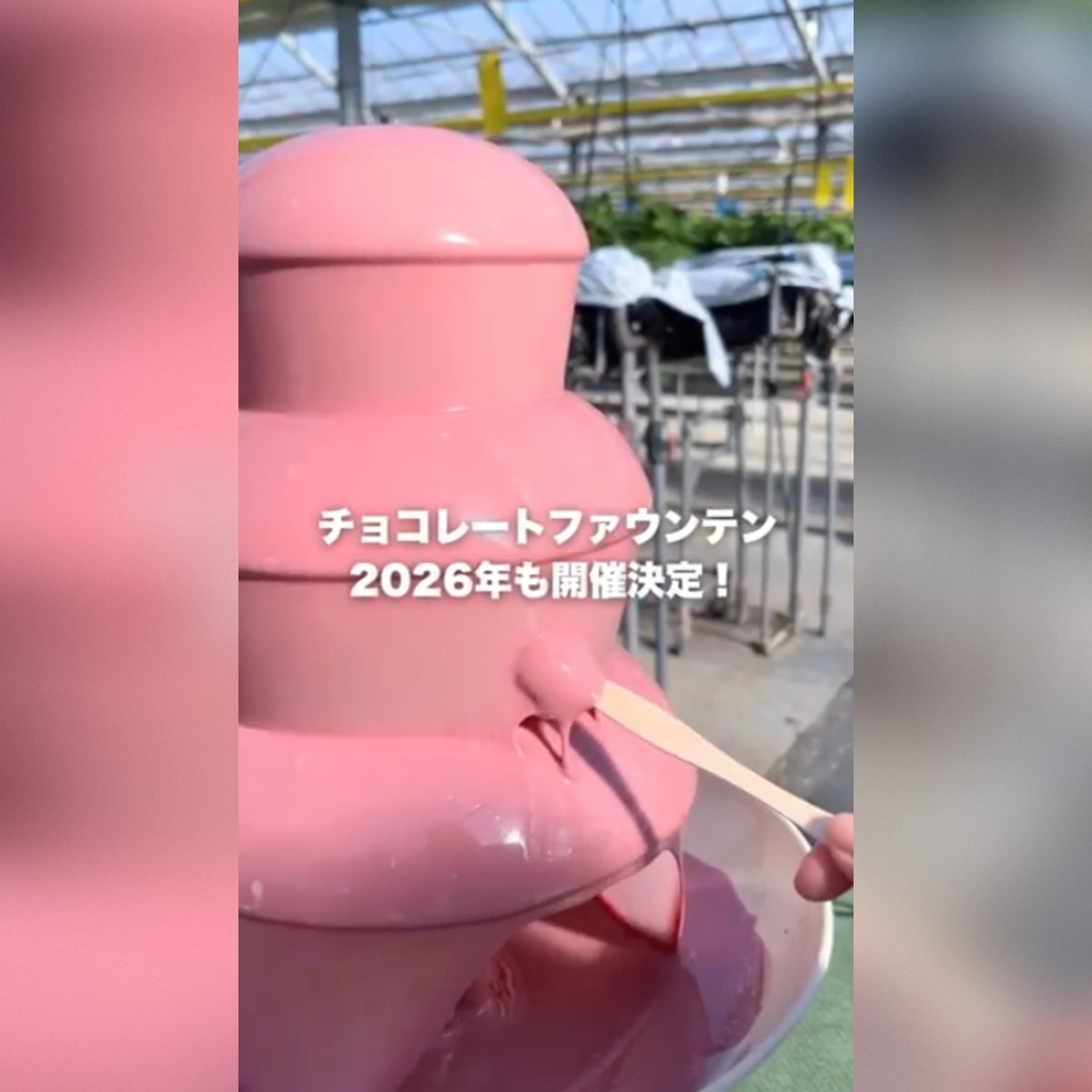 【LINEクーポン配信中】チョコファン開催🍓🍫1/10(土)〜12(月祝)・1/24(土)〜25(日)