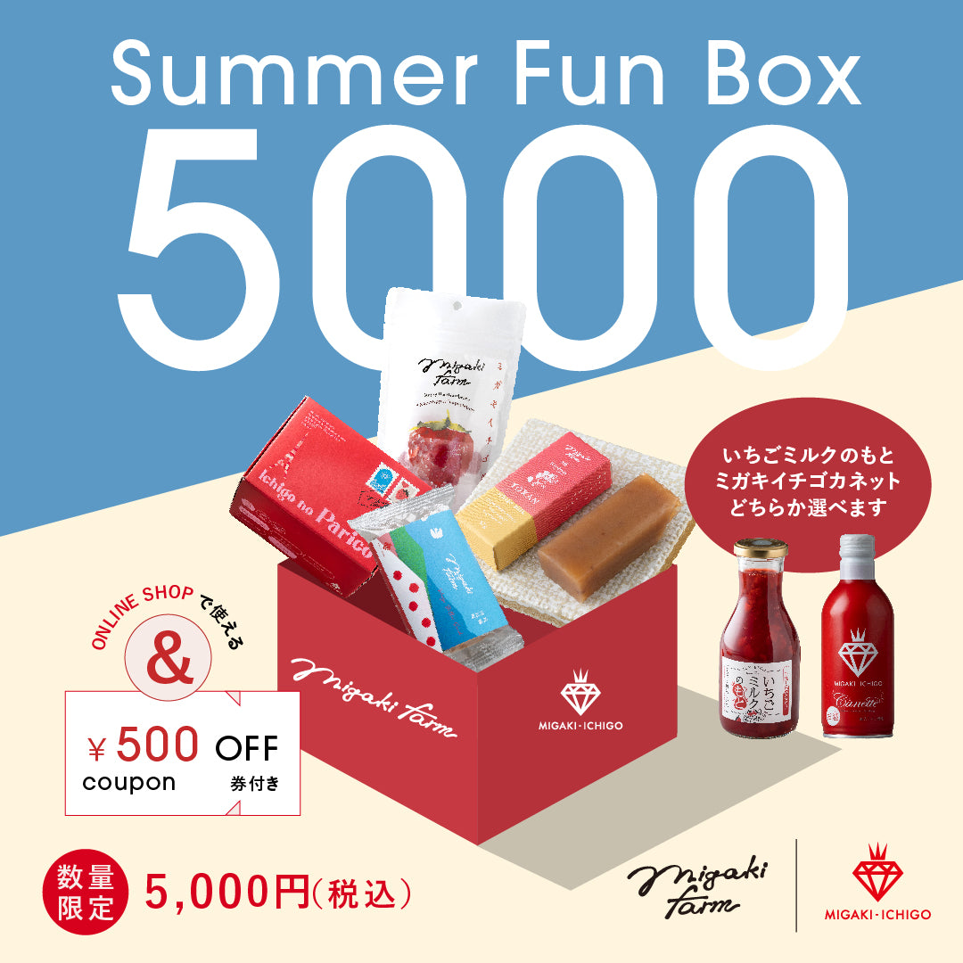 夏のお楽しみBOX【5000円】