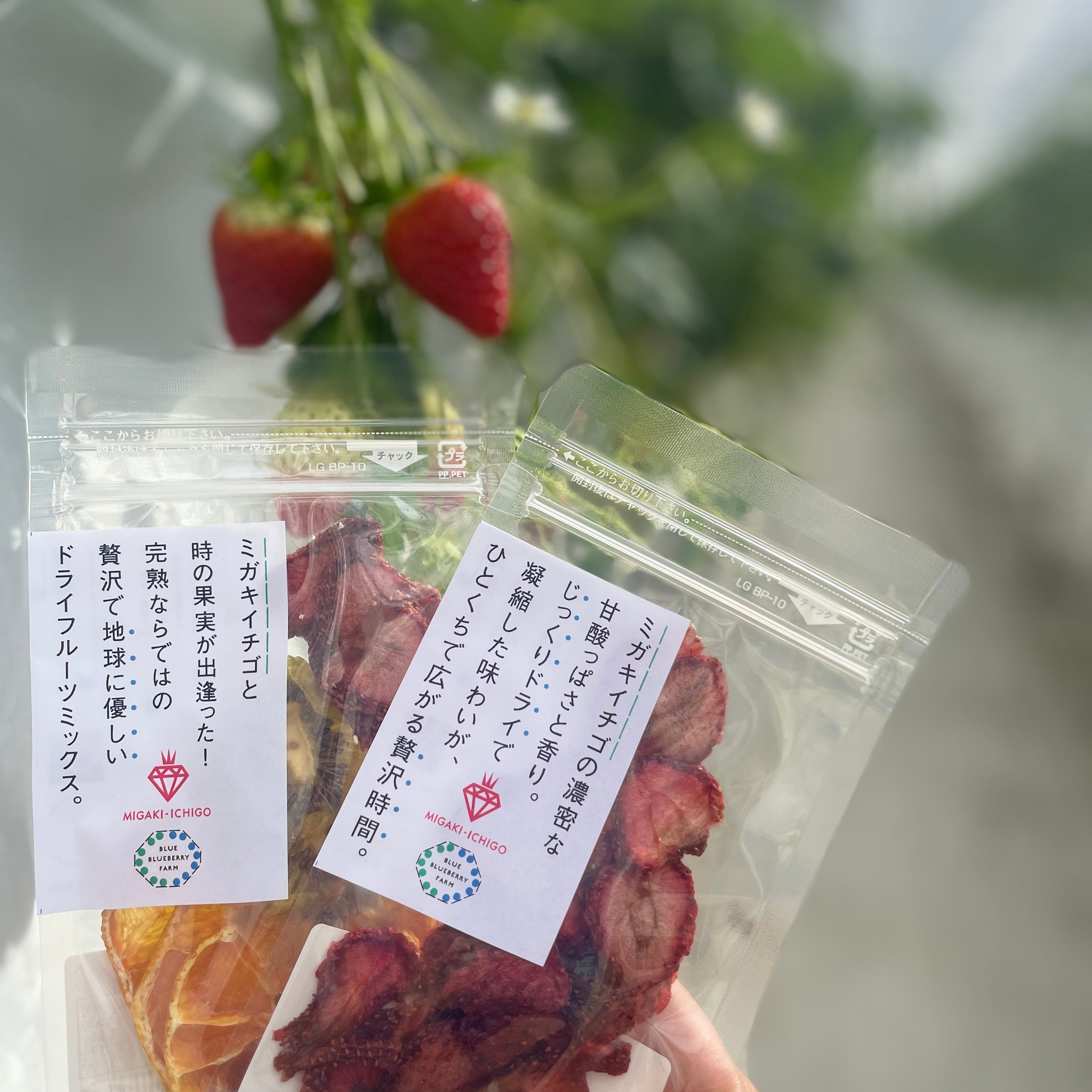 ミガキイチゴと季節のドライフルーツミックス