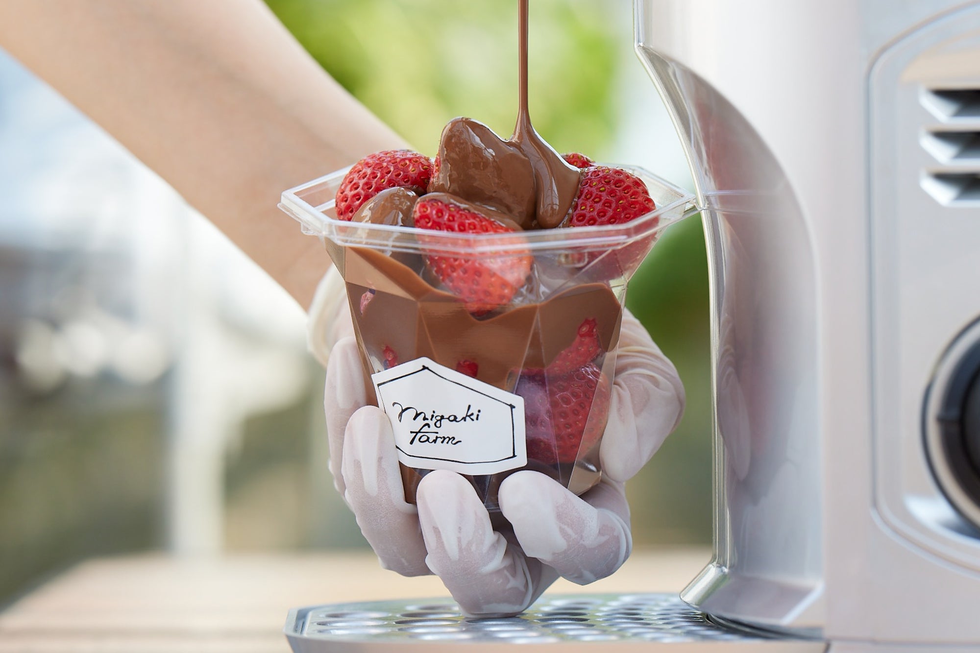 いちこ/3 AIMARI FARM～あいまり農園～｜天空のいちご園