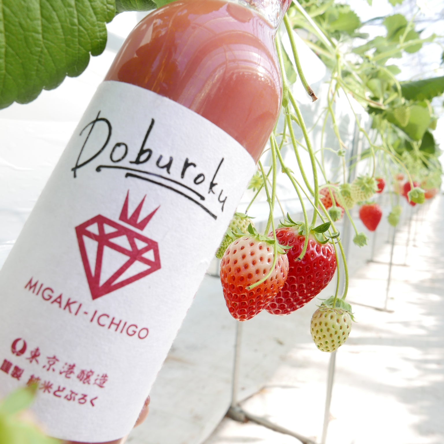 ミガキイチゴ・どぶろく
