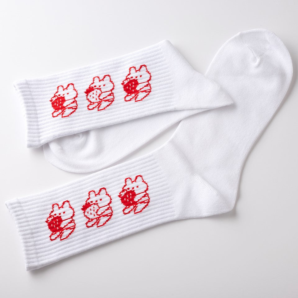 ミガきっこうちゃん 靴下