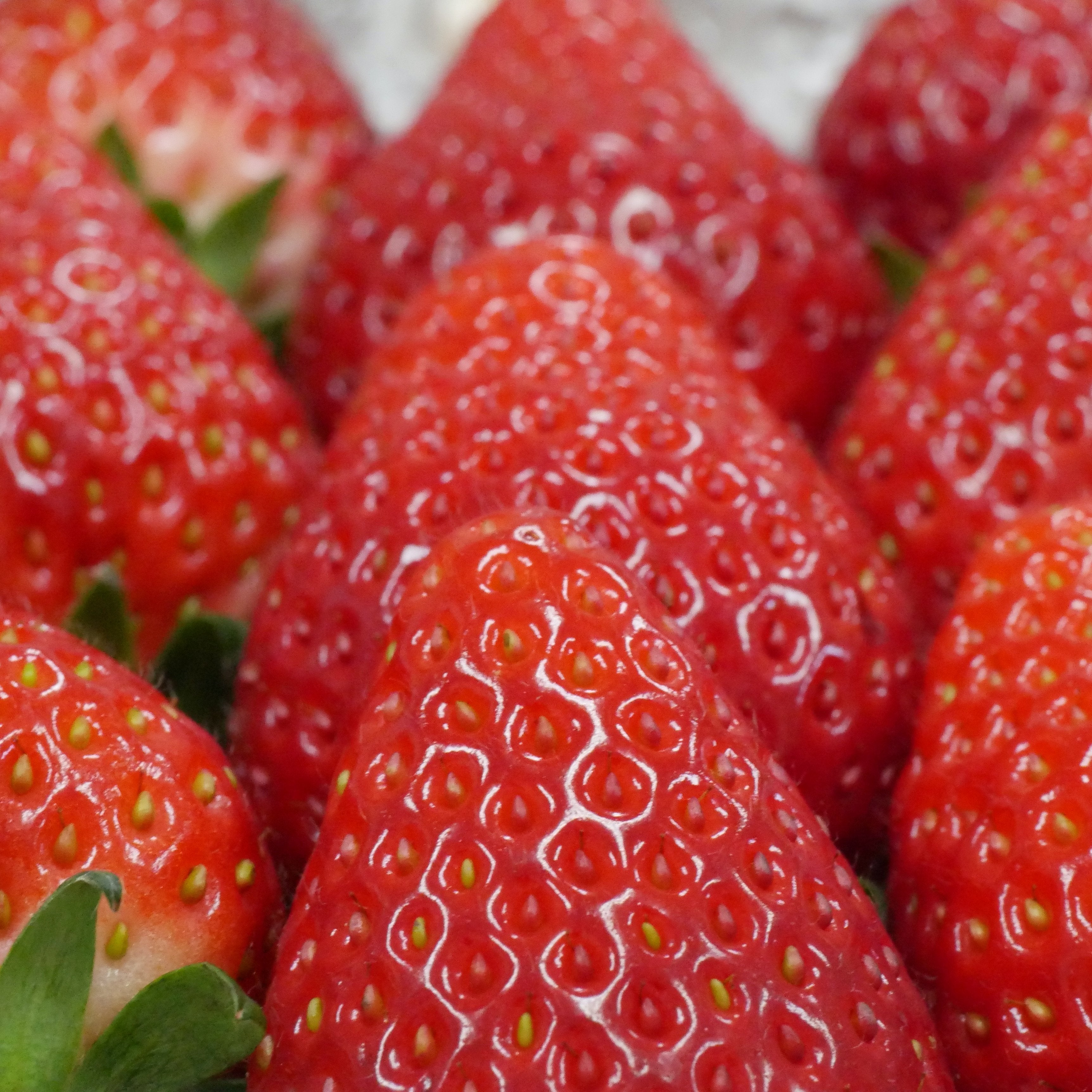 ミガキイチゴ・レギュラー